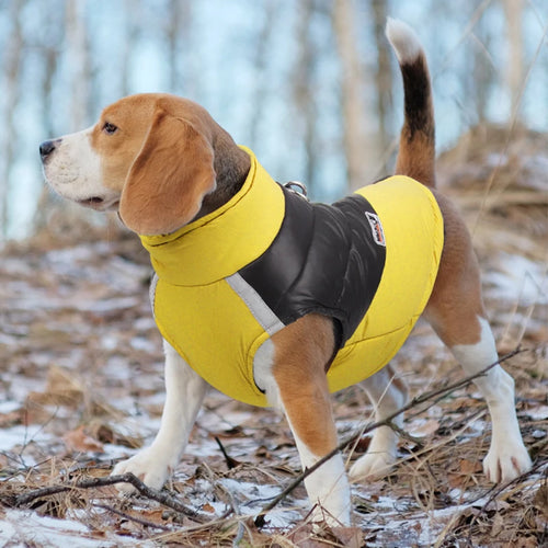Waterproof Padded Warm Clothes for Dog
