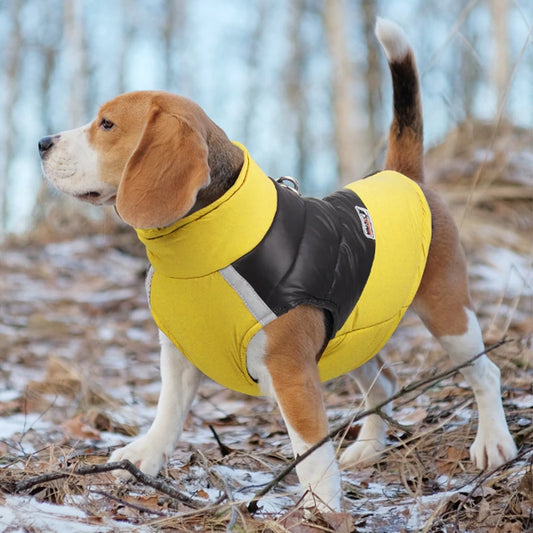 Waterproof Padded Warm Clothes for Dog